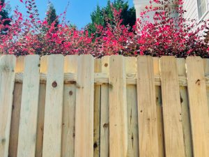 Shadowbox wood fence style